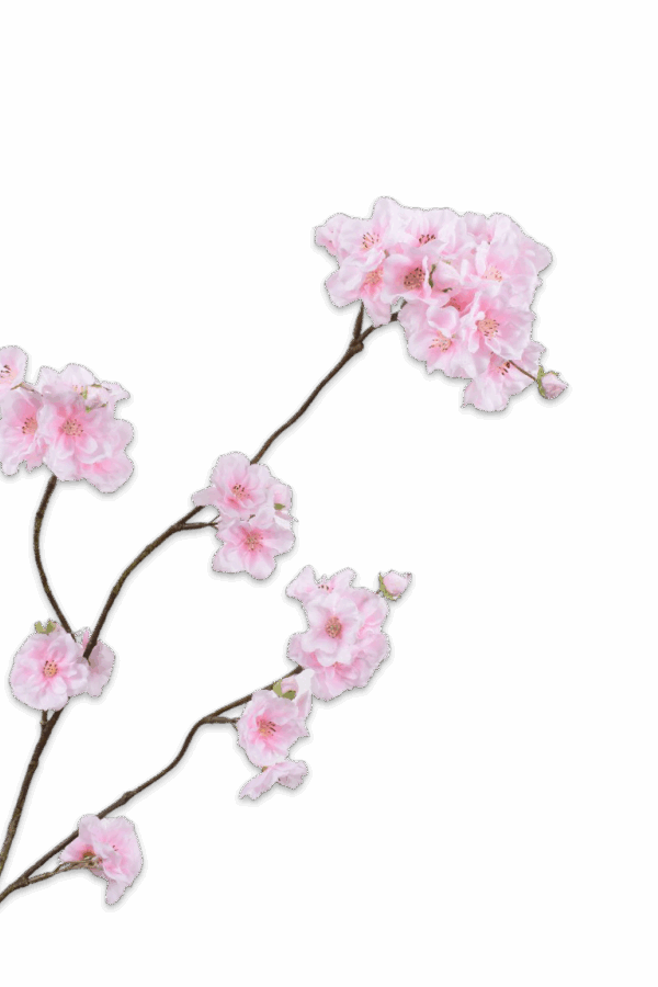 Bloesem tak zacht roze 84 cm Silk-ka