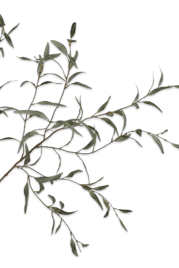 Eucalyptus tak groen 123 cm Silk-ka