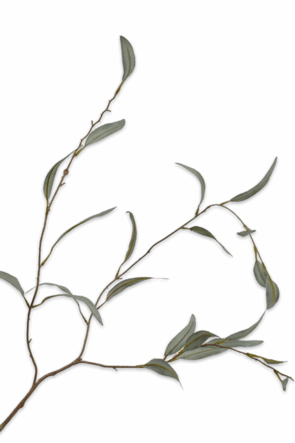 Eucalyptus tak groen 96 cm Silk-ka