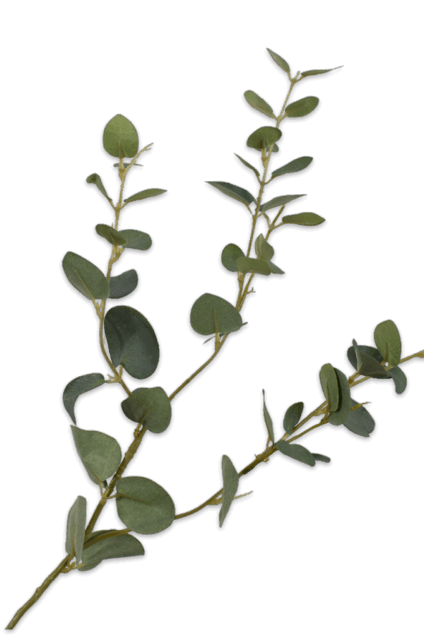 Eucalyptus tak groen 79cm Silk-ka