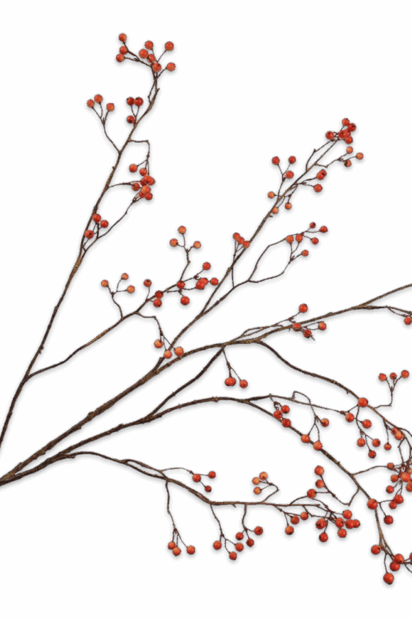 Bessentak oranje 133 cm Silk-ka