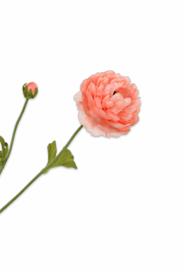 Ranonkel fijn zalm 64 cm Silk-ka