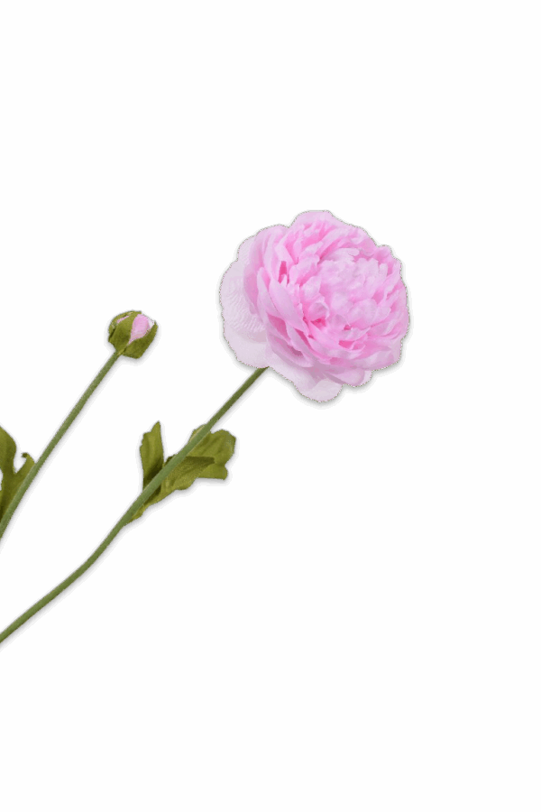 Ranonkel fijn zacht roze 64 cm Silk-ka