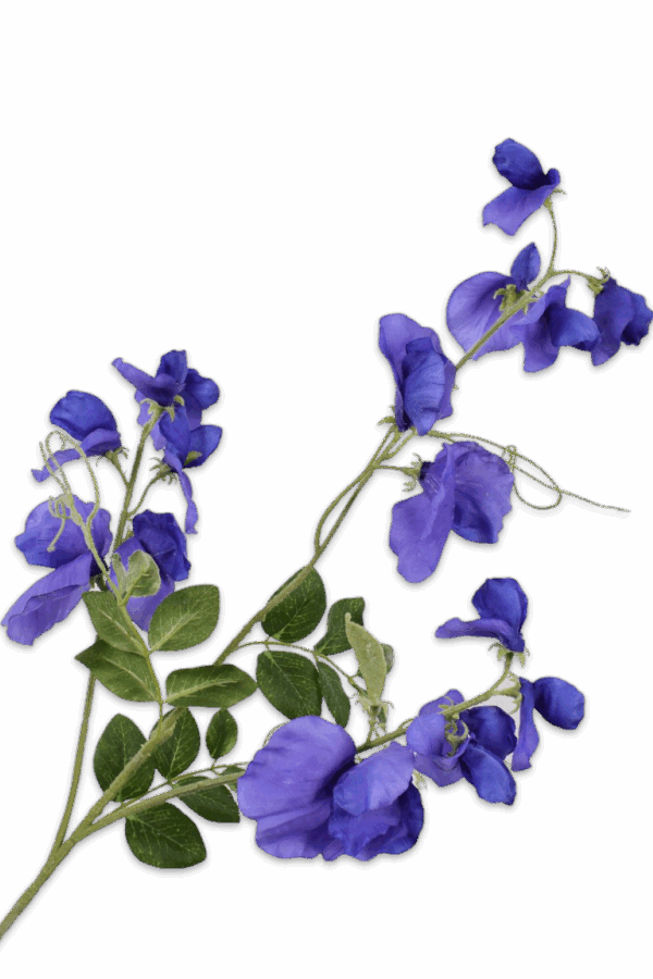 Lathyrus tak paars / blauw 73 cm Silk-ka