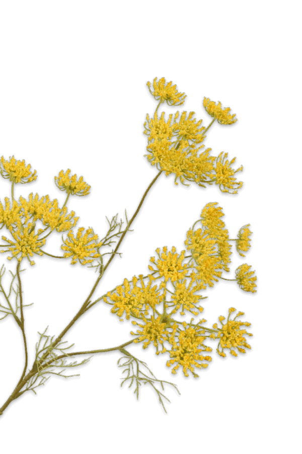 Dille tak geel 62 cm Silk-ka