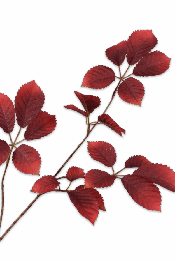 Bladtak bordeaux 74 cm Silk-ka