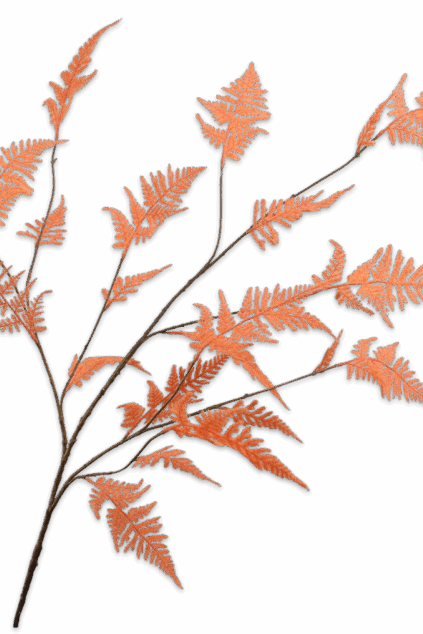 Asparagus tak oranje 141 cm Silk-ka