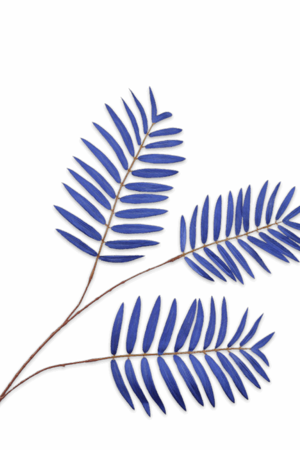 Varen blad tak blauw 83 cm Silk-ka