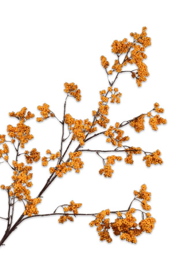 Bessentak geel 110 cm Silk-ka