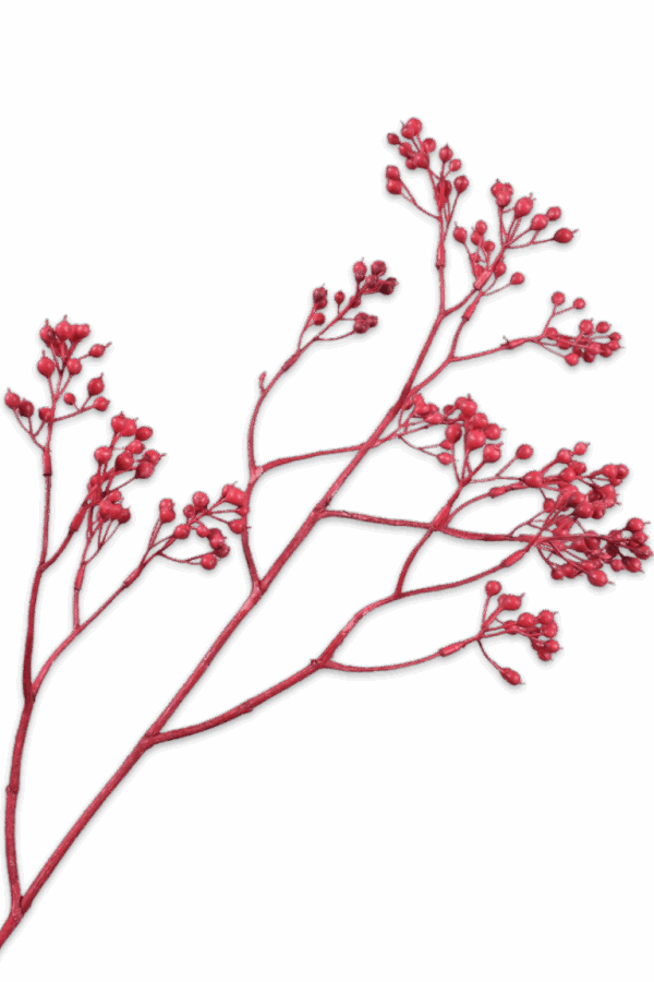 Bessentak beauty 80 cm Silk-ka