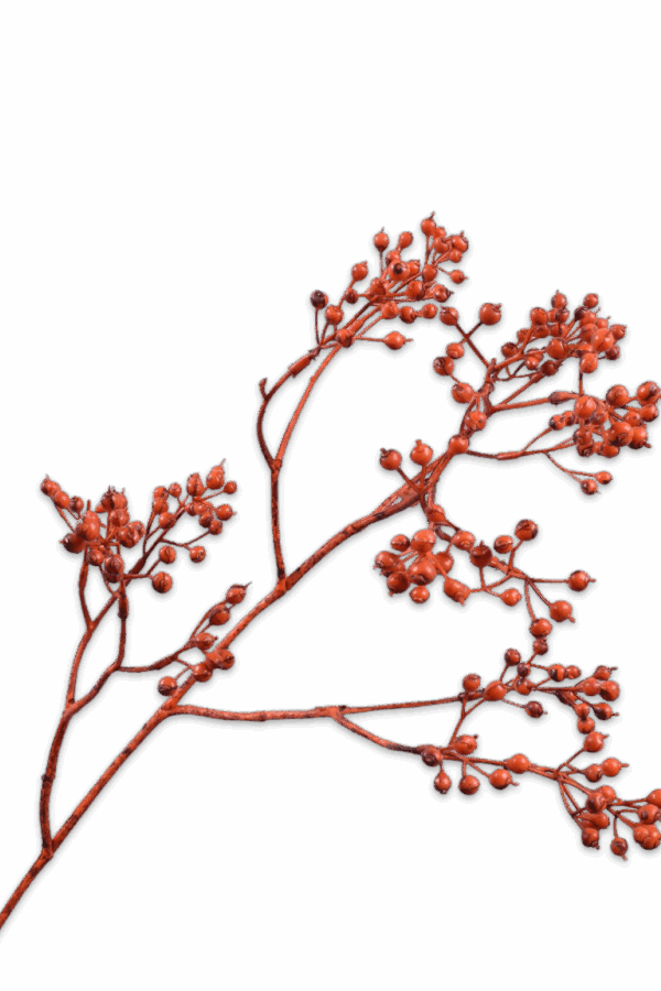 Bessentak oranje 80 cm Silk-ka