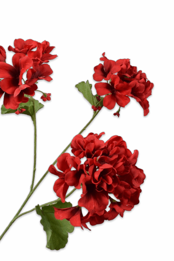 Geranium tak rood 58 cm Silk-ka