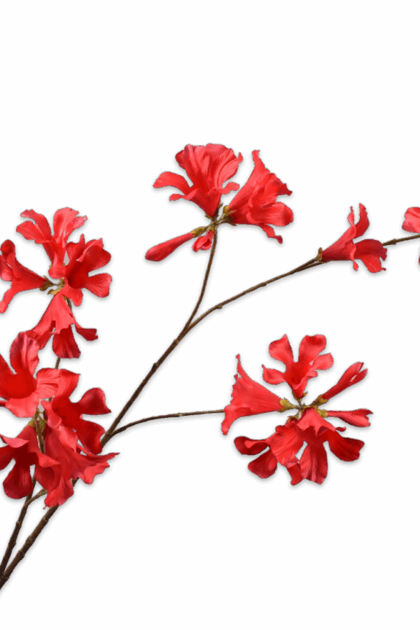 Mandevilla rood 114 cm Silk-ka