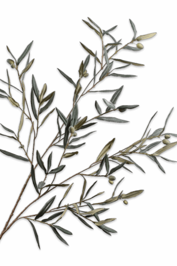 Olijftak groen grijs 123 cm Silk-ka