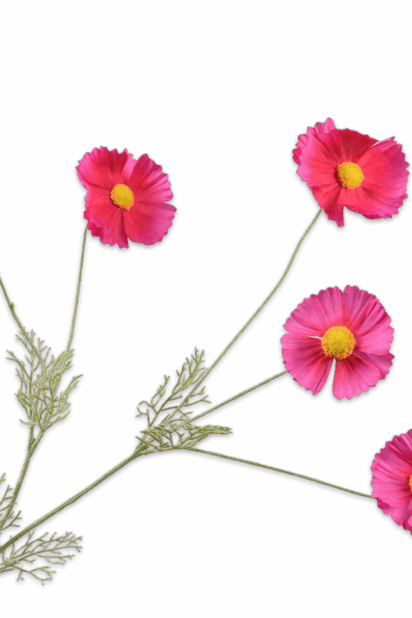 Cosmos margriet fuchsia roze 92 cm Silk-ka