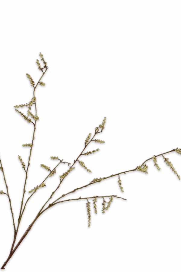 Wilgentak groen 127 cm Silk-ka