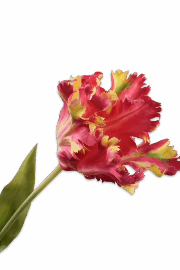 Papegaai tulp parkiet rood geel 71 cm Silk-ka