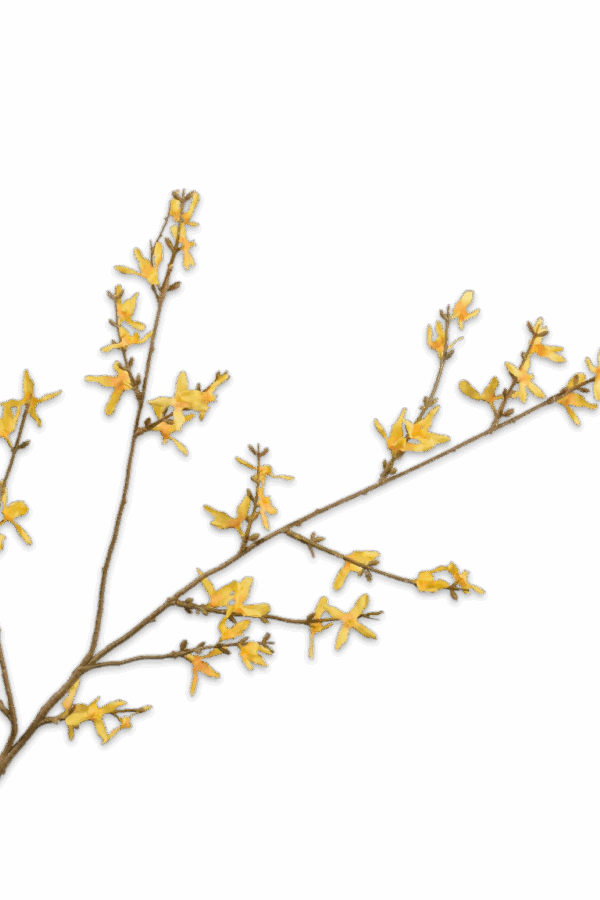 forsythia tak geel 89 cm Silk-ka