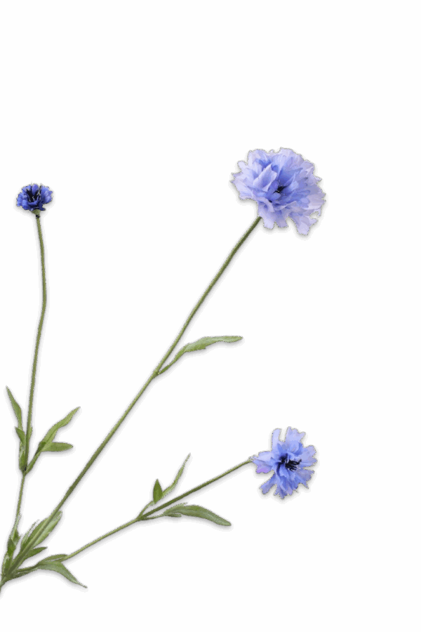 Korenbloem licht blauw 65 cm Silk-ka Real touch
