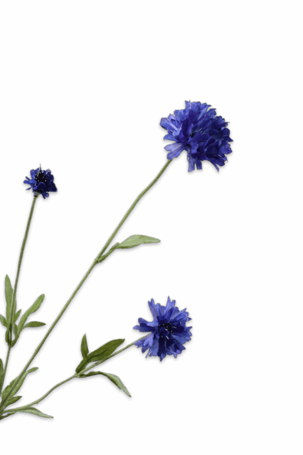 Korenbloem blauw 65 cm Silk-ka Real touch