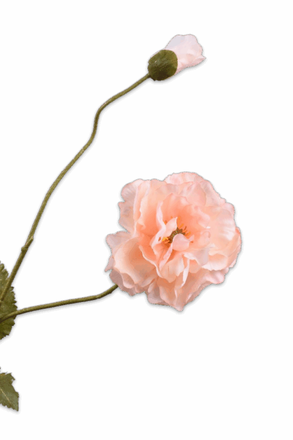 Klaproos tak crème roze 109 cm Silk-ka real touch