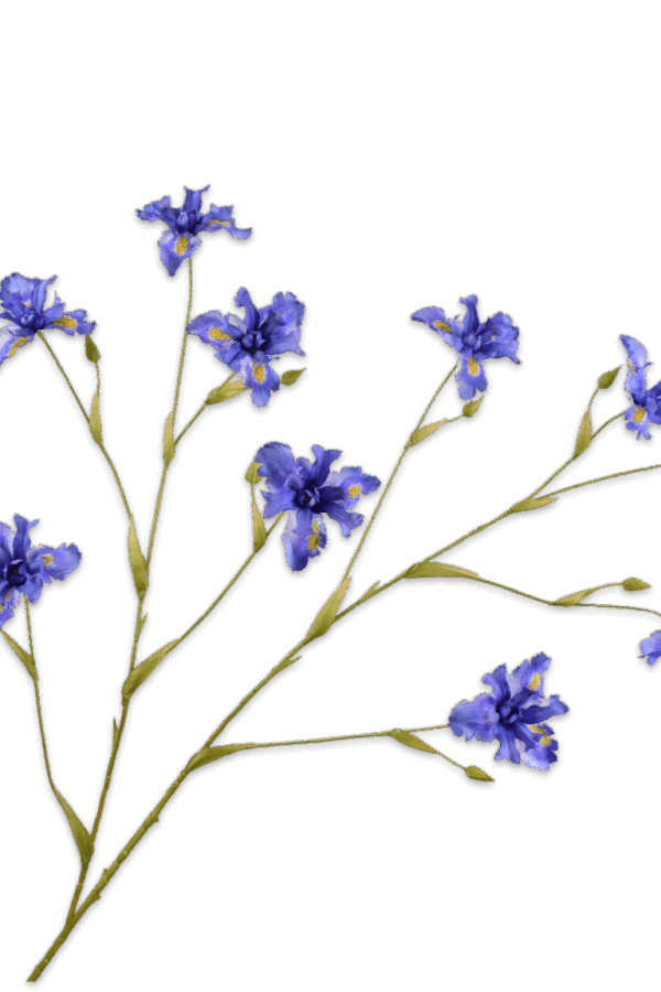 iris tak blauw 125 cm Silk-ka