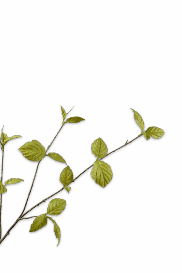 Bladtak groen 85 cm Silk-ka