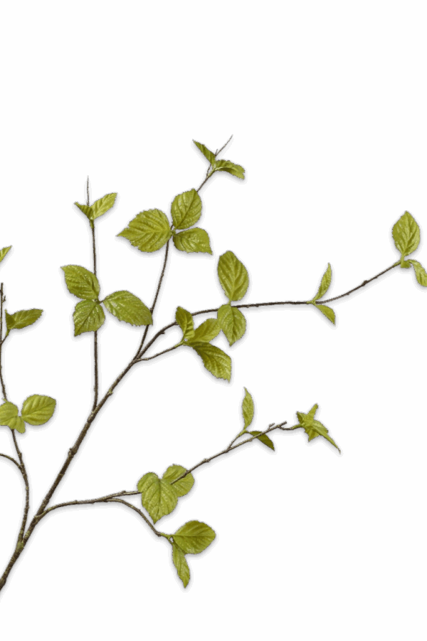 Bladtak groen 116 cm Silk-ka