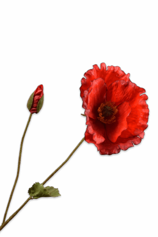 Klaproos rood 68 cm Silk-ka