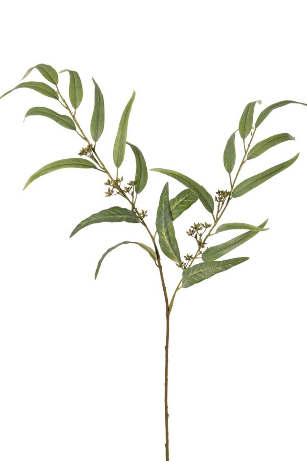 Eucalyptus tak groen -H91 cm