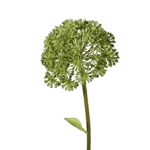 Allium groen 68 cm