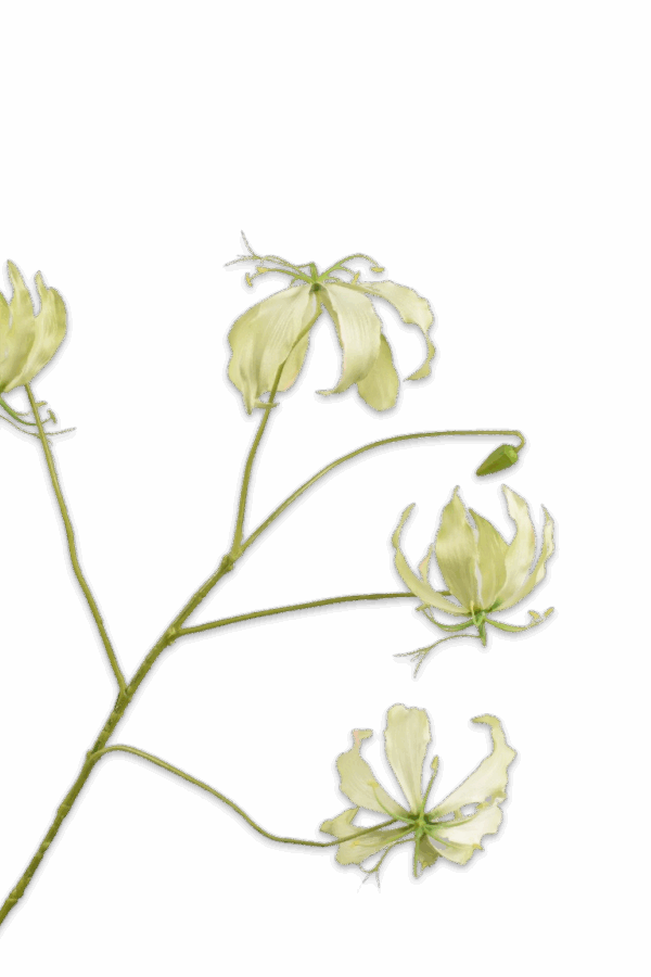 Gloriosa tak groen 89 cm Silk-ka