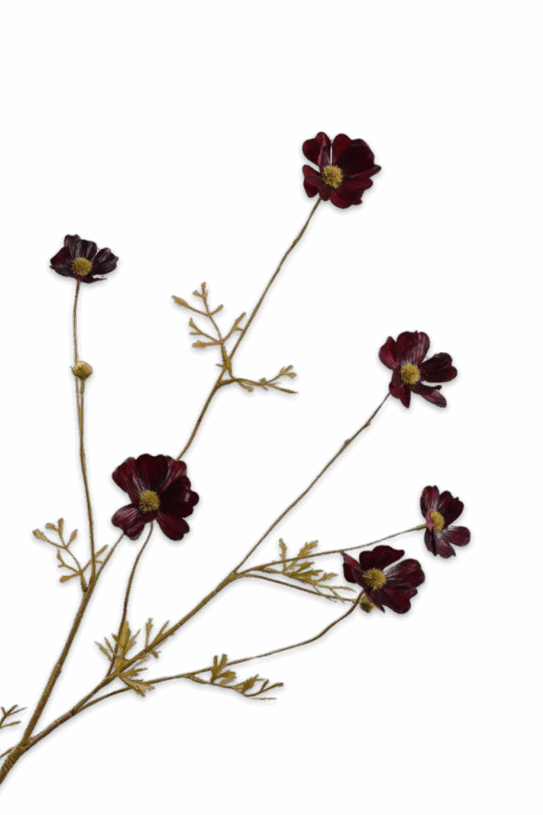 Cosmos tak bordeaux 77 cm Silk-ka