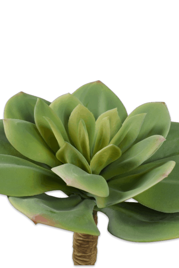 Vetplant groen succulent 25 cm Silk-ka