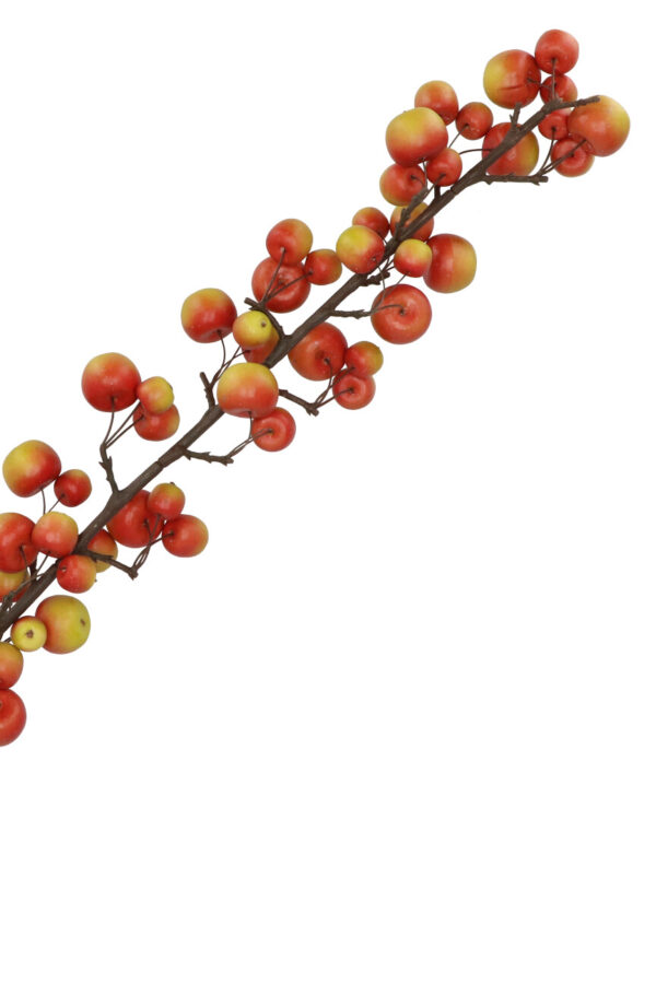 Appeltak rood groen groot 135 cm