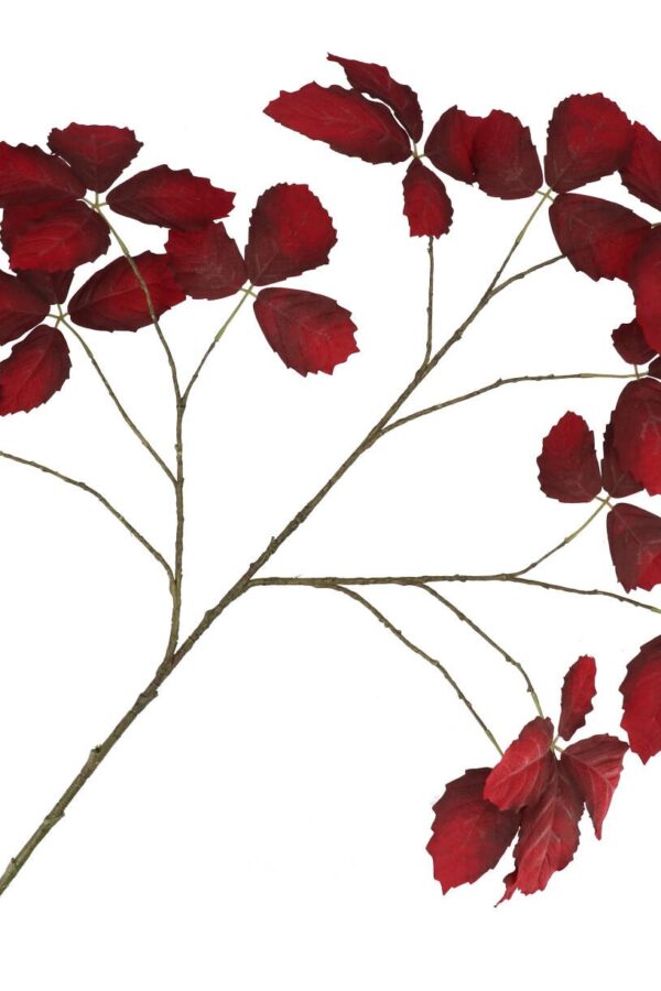 Bladtak  donkerrood 135 cm