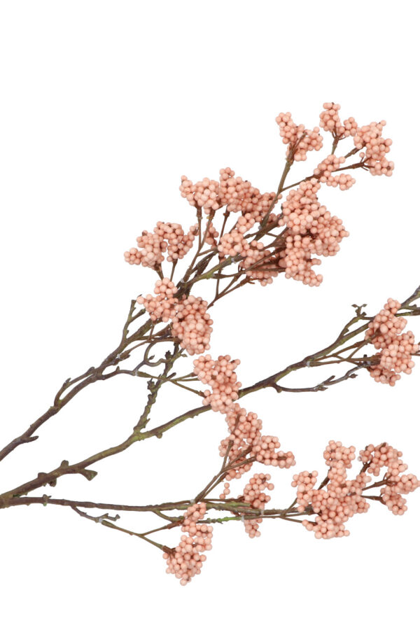 Bessentak foam champagne roze 108 cm