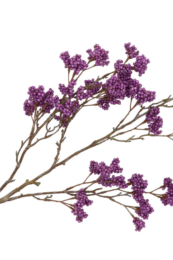 Bessentak foam paars 108 cm