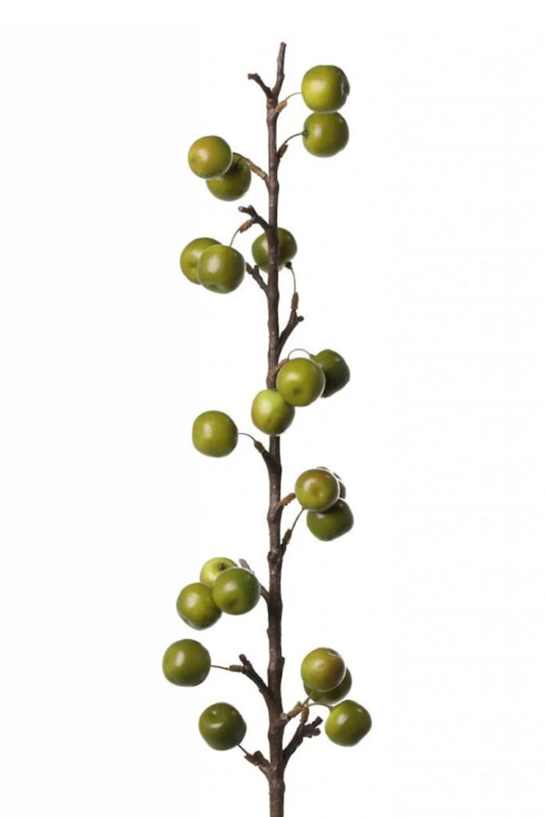 Appeltak groen 97 cm