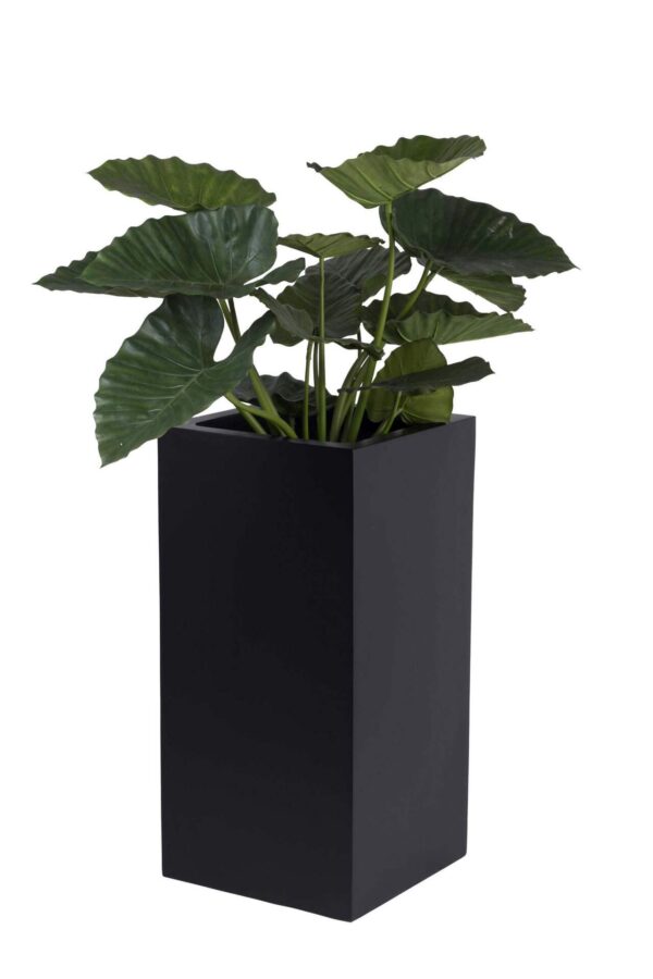 Plantenbak Michaela zwart hoogte 80 cm VTW