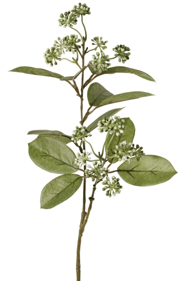 Bessentak schoenknop groen wit 70 cm