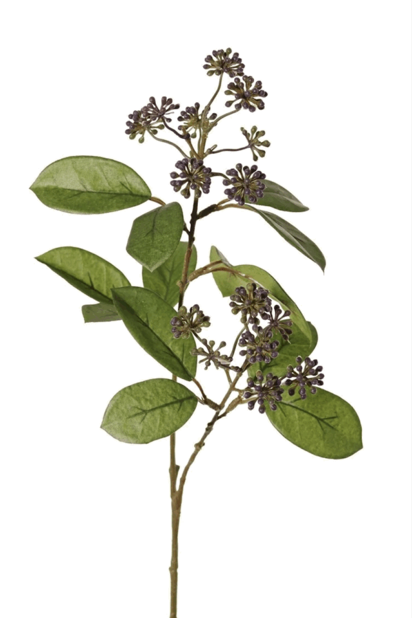 Bessentak schoenknop paars 70 cm