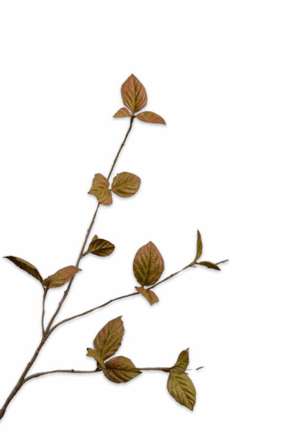 Bladtak bruin groen 85 cm Silk-ka