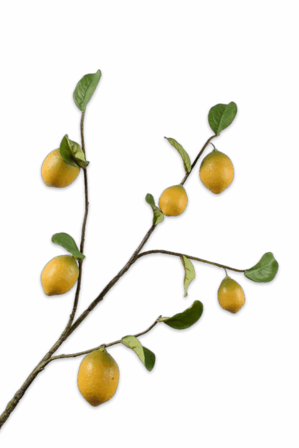 Fruittak citroen citroentak 92 cm Silk-Ka