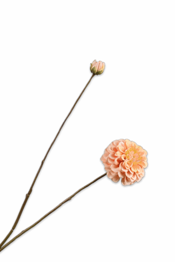 Dahlia tak perzik zalm 86 cm Silk-ka