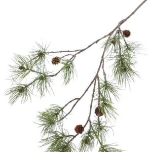 Dennetak pinus den 110 cm