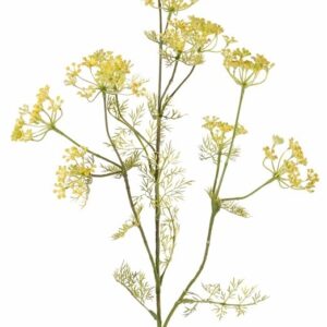 Dille tak geel 78 cm