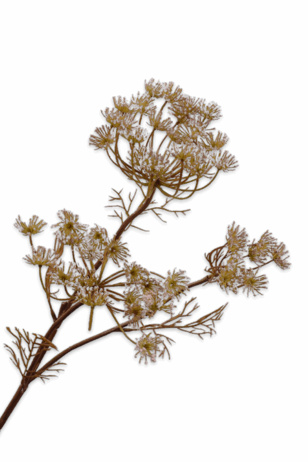 Dille tak wit/ roze 82 cm Silk-ka