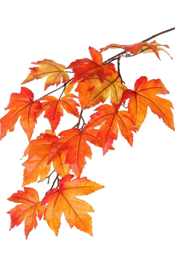 Esdoorn tak oranje 91 cm