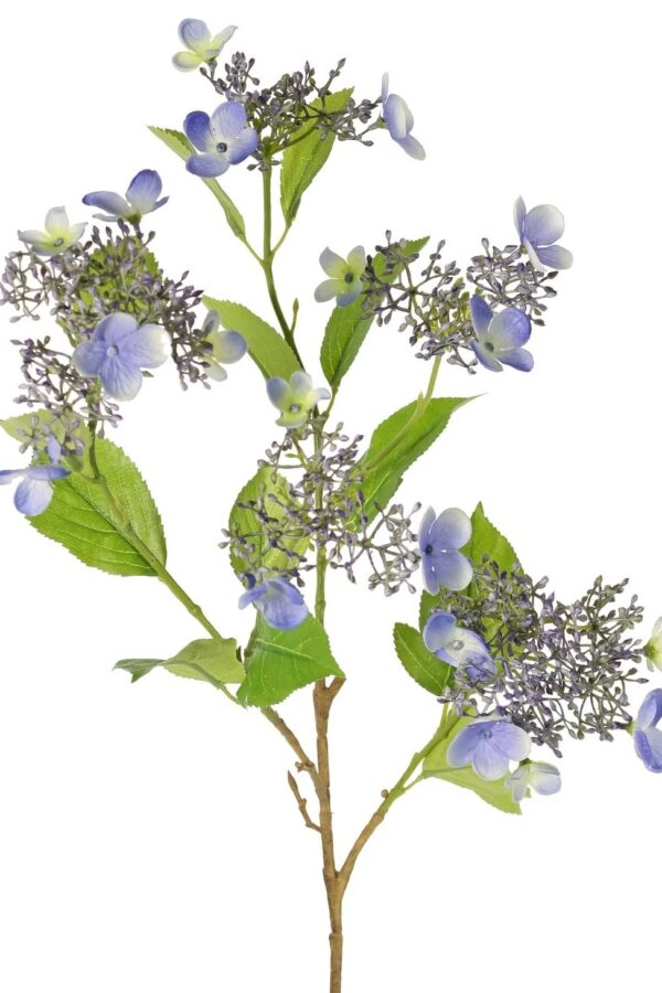 Hortensia hydrangea 78 cm